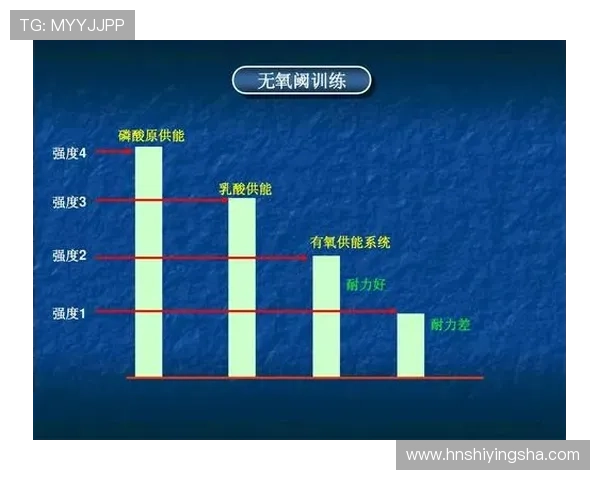 南京羽毛球队防反战术解析与深度剖析探索羽毛球竞技的奥秘与技巧